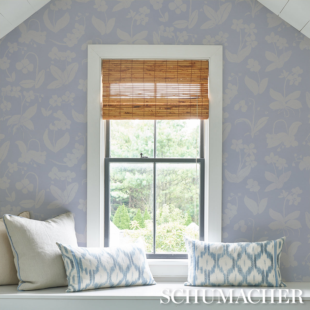 LE ORCHIDEE HANNO SOGNI | CIELO