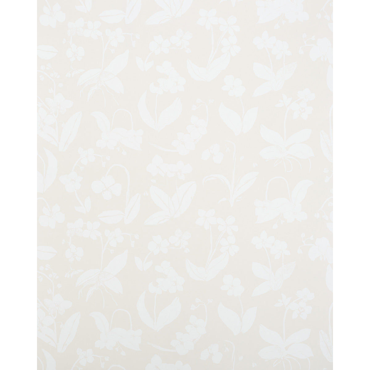 ORCHIDS HAVE DREAMS | Light Neutral