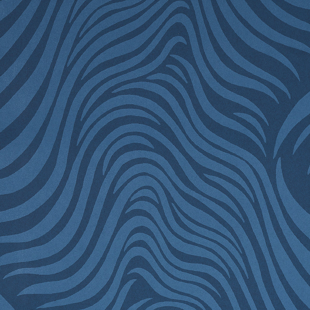 SALVARE | MARINA MILITARE