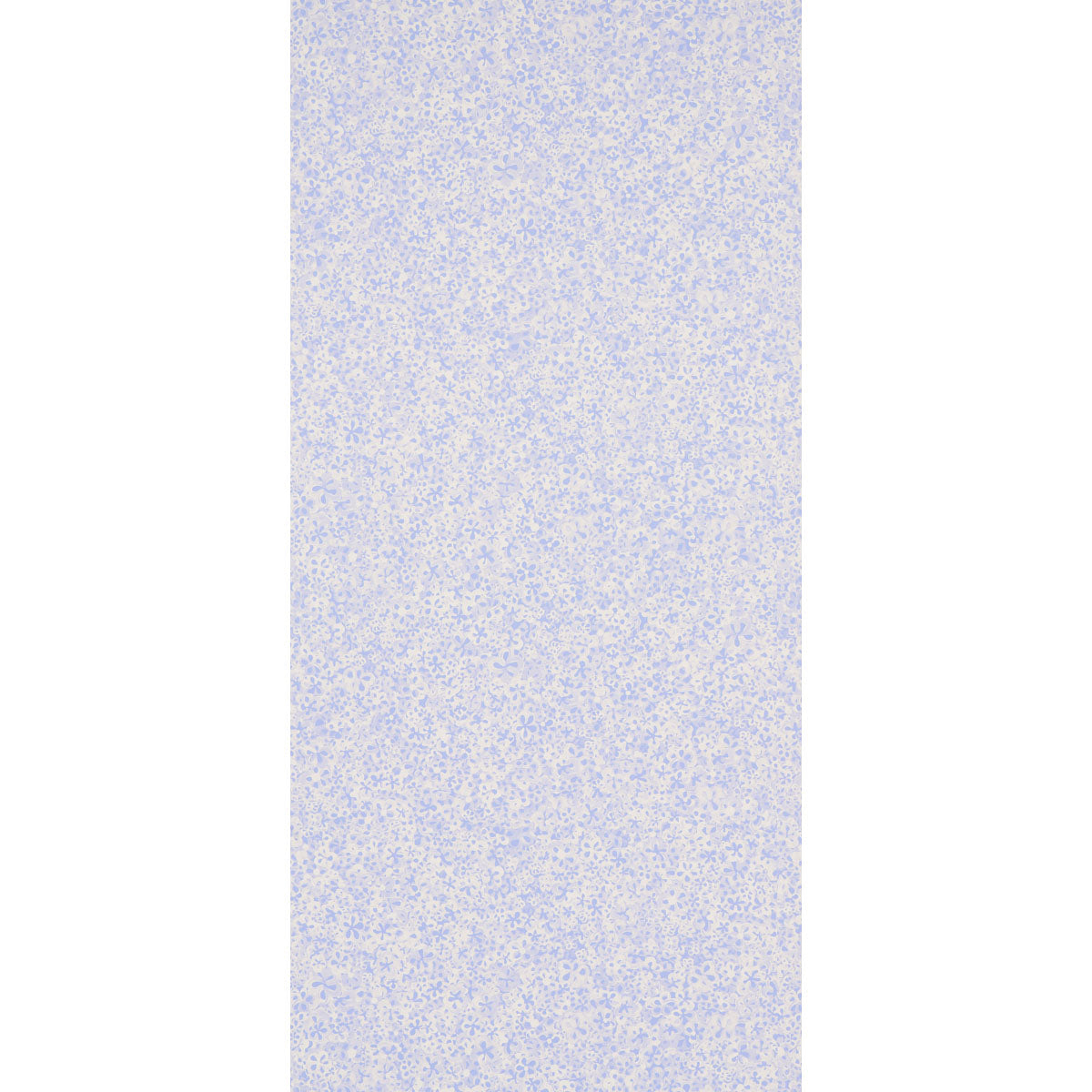 SUPERBLOOM | FIORDALISO