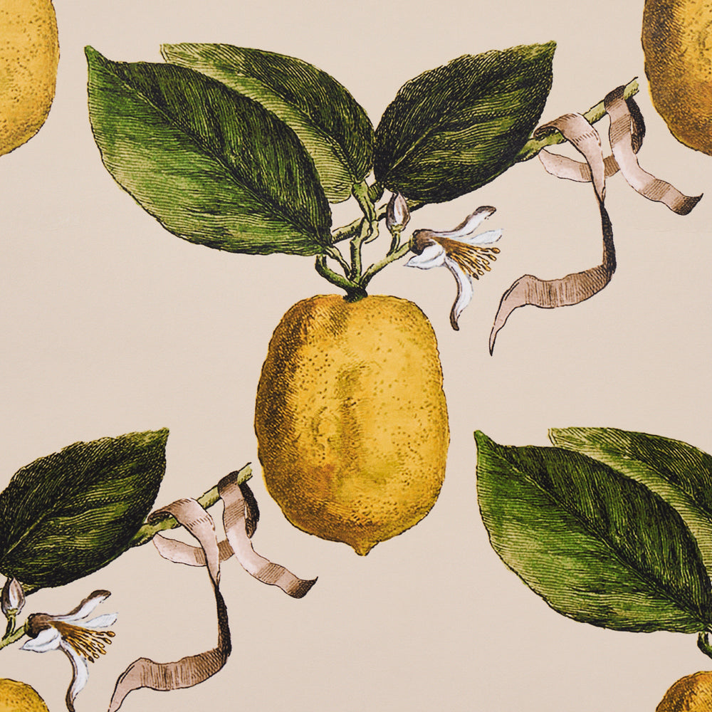 LE CITRON | Natural