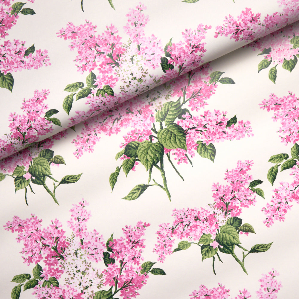 PROUST'S LILACS | Pink