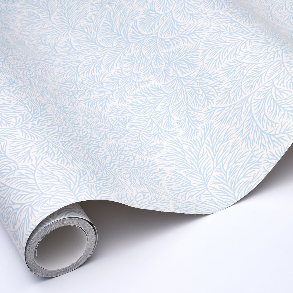 BOUGAINVILLEA | BLU CINA