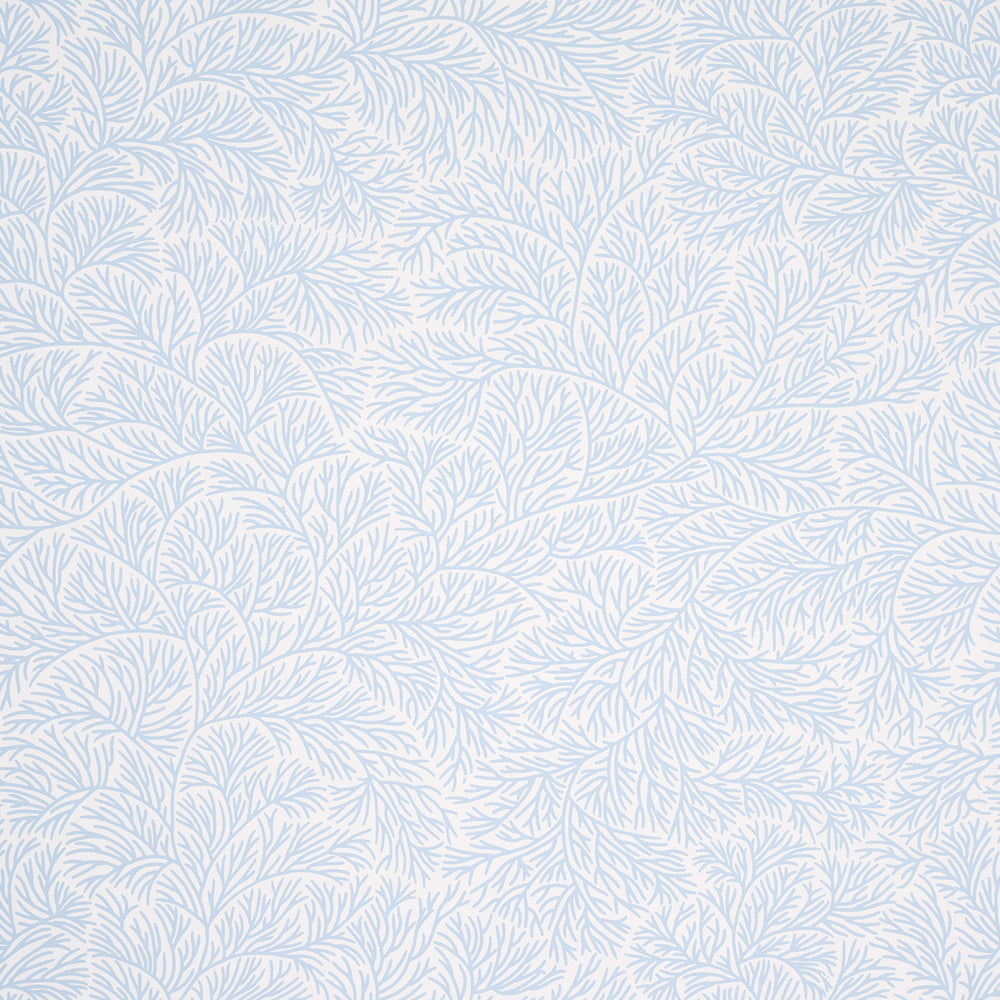 BOUGAINVILLEA | BLU CINA