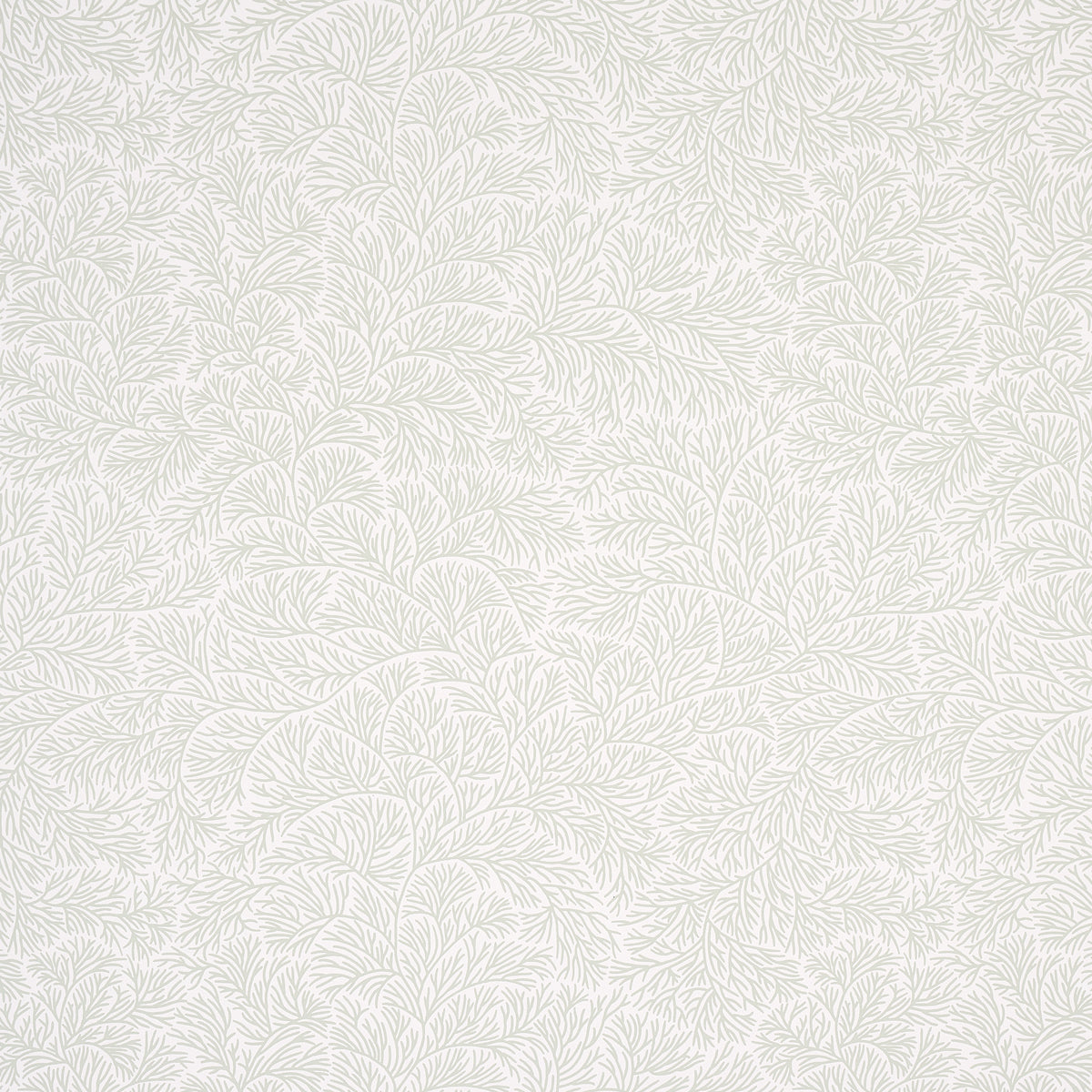 BOUGAINVILLEA | VERDE FOGLIA