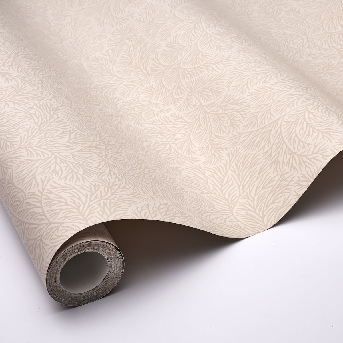 BOUGAINVILLEA | NEUTRO