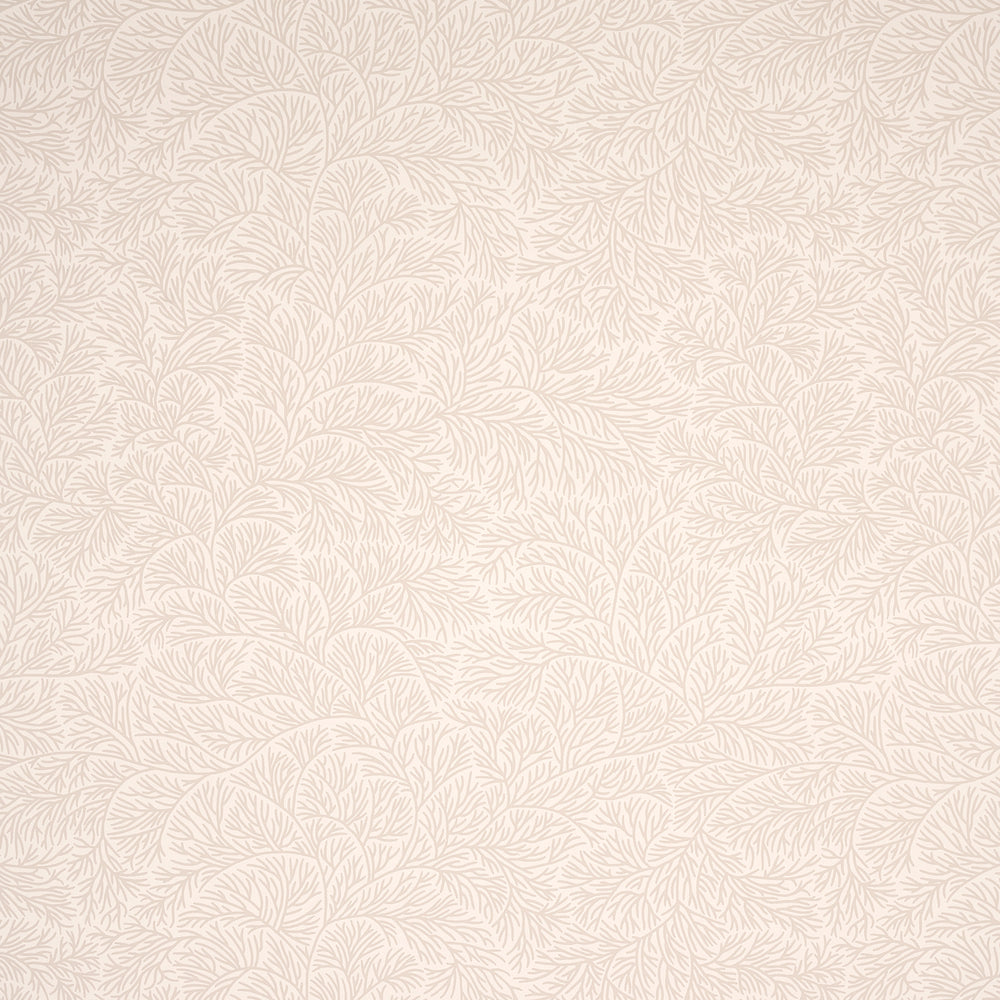 BOUGAINVILLEA | NEUTRO