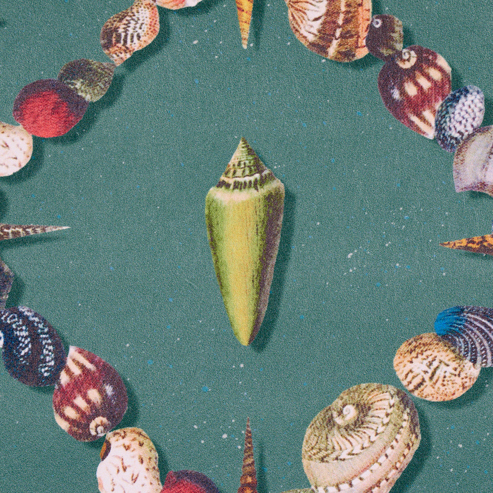 GROTTE TREILLAGE | MULTI SU QUADRANTE