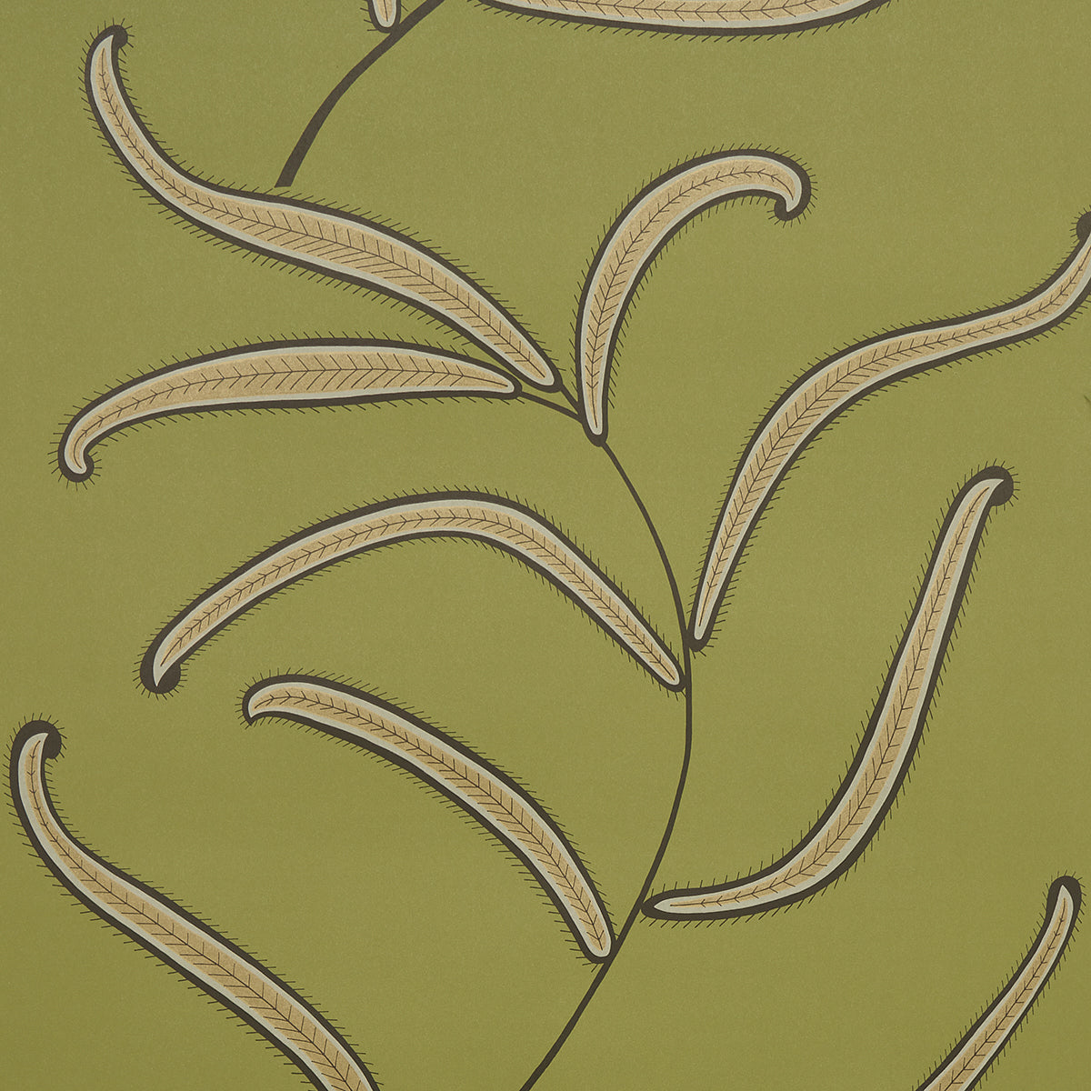 FOGLIA DI BRUCO | VERDE PRATO