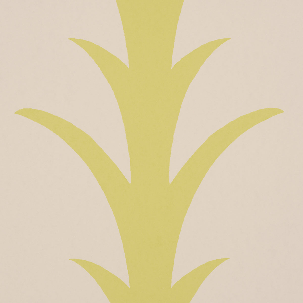 ACANTHUS STRIPE | Soleil On Sand