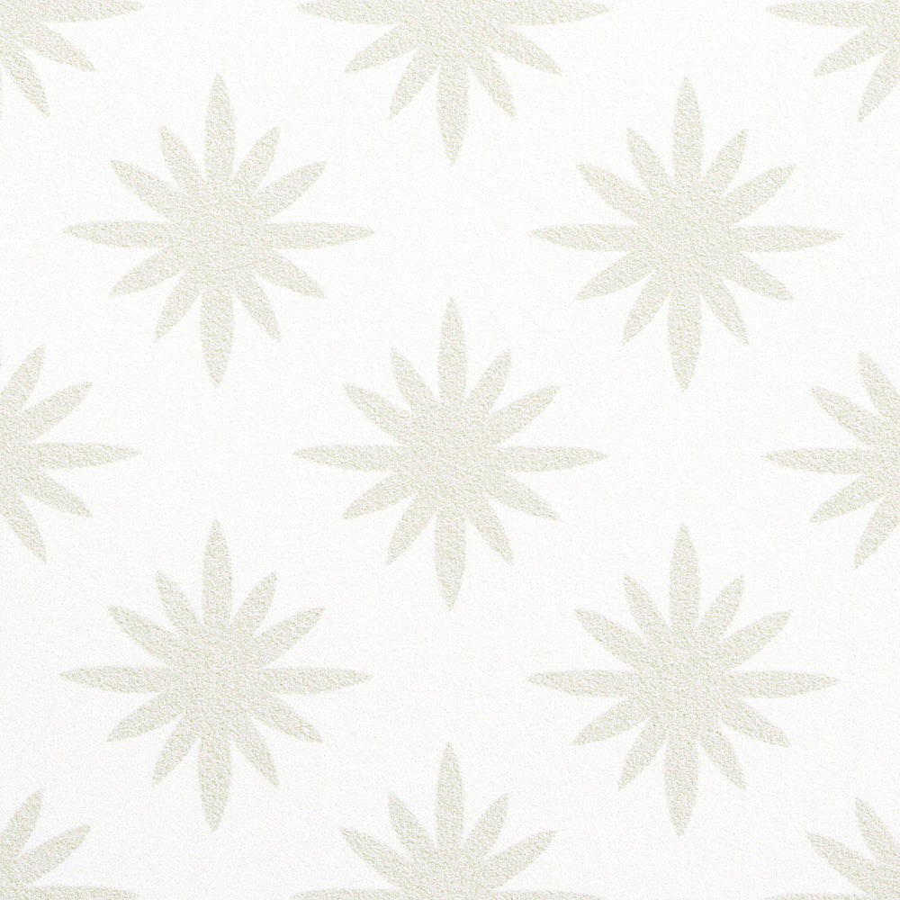 STAR ANISE | Mink
