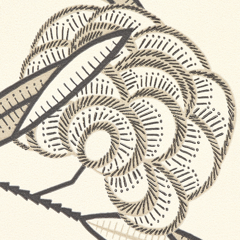 JACOB'S TREE | Black & Cream