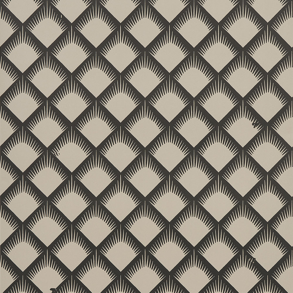 MAIZE | Black & Cream