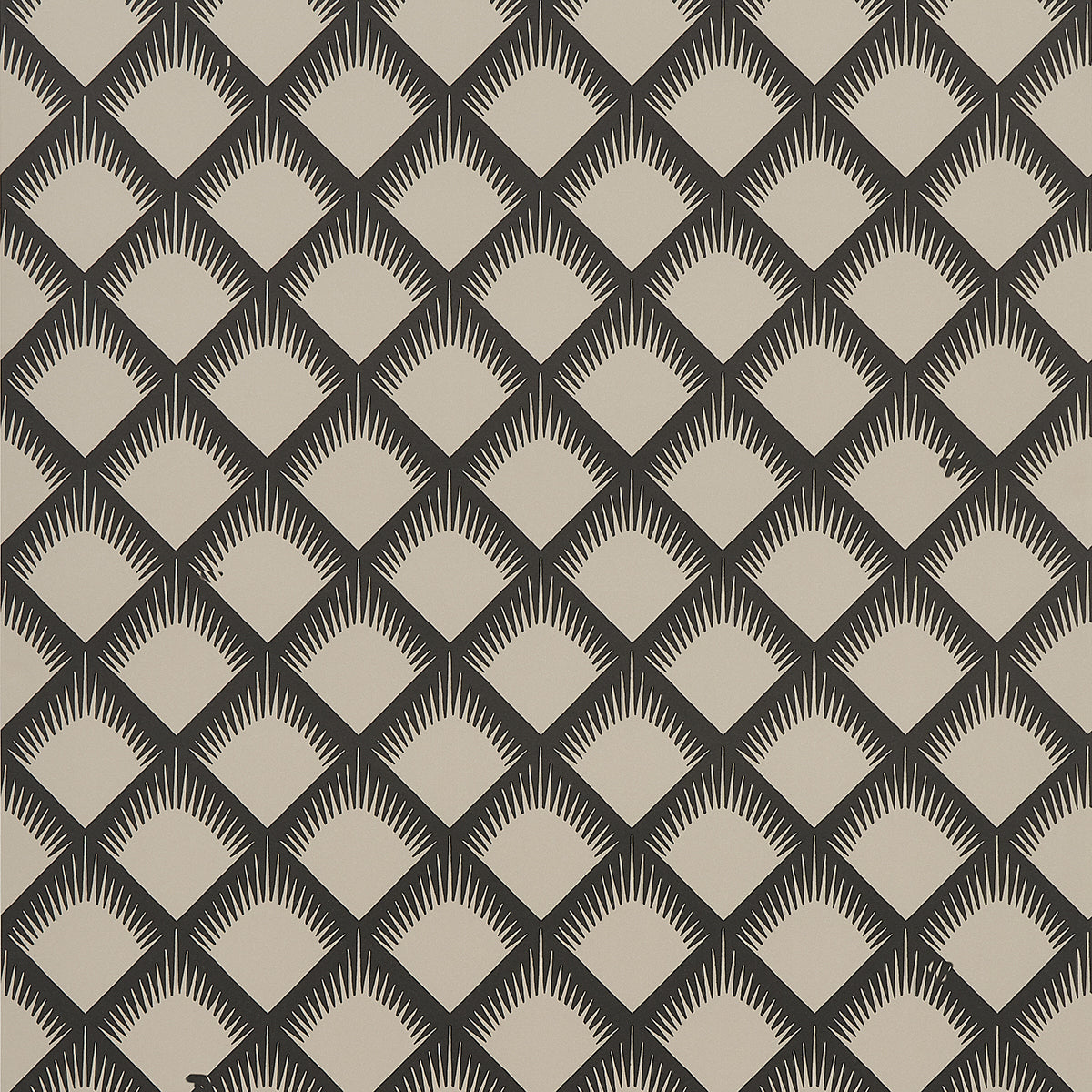 MAIZE | Black & Cream