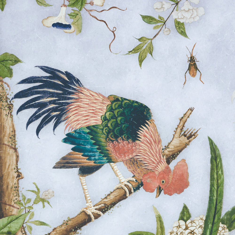 SET PANNELLI LES OISEAUX | CIELO
