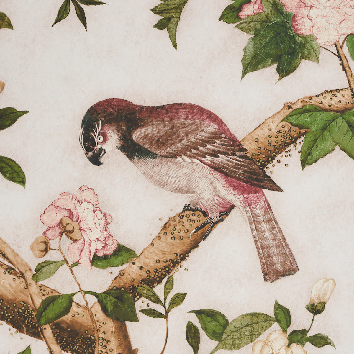 SET PANNELLI LES OISEAUX | AVORIO
