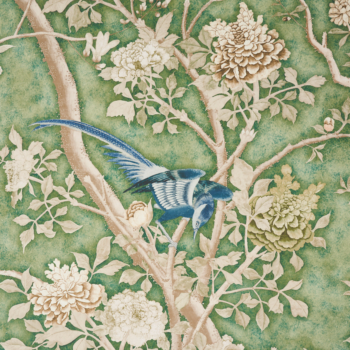 SET PANNELLI LES OISEAUX | GIADA
