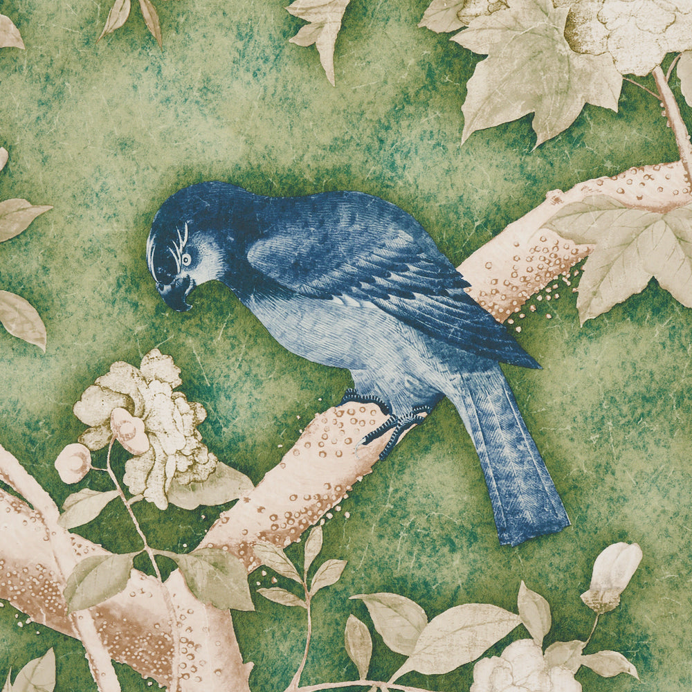 SET PANNELLI LES OISEAUX | GIADA