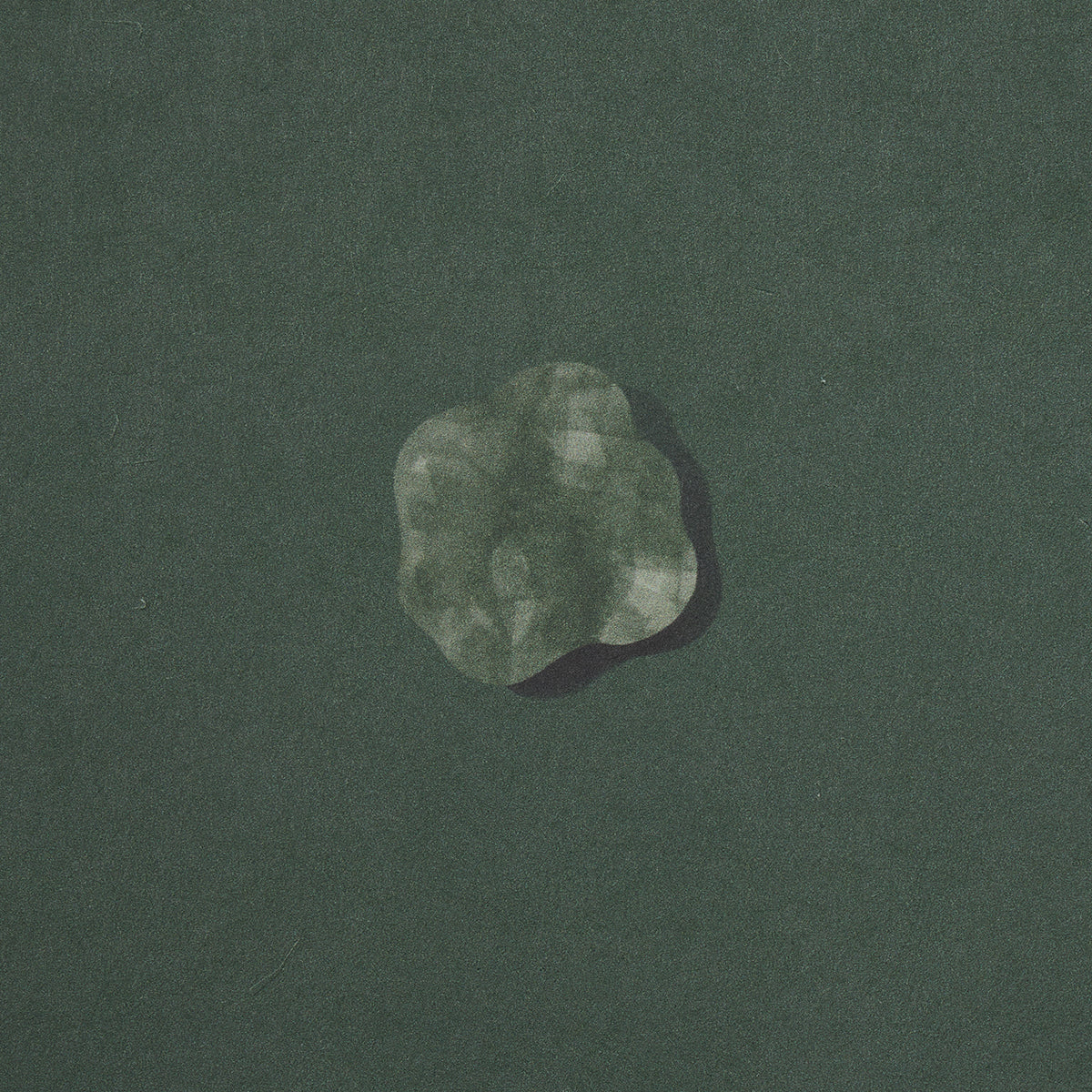 HEAVENLY BODIES | Deep Green