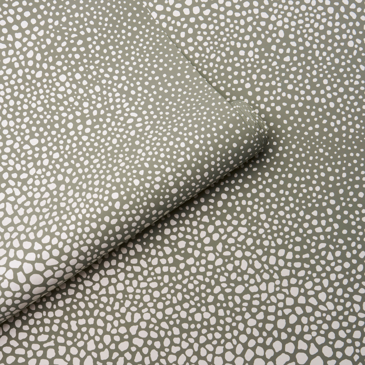 STRUTTURA VAGABILE | FUCO