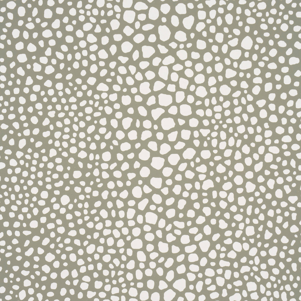 STRUTTURA VAGABILE | FUCO