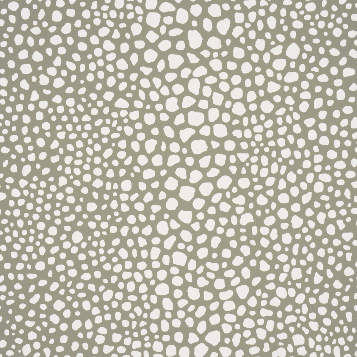 STRUTTURA VAGABILE | FUCO