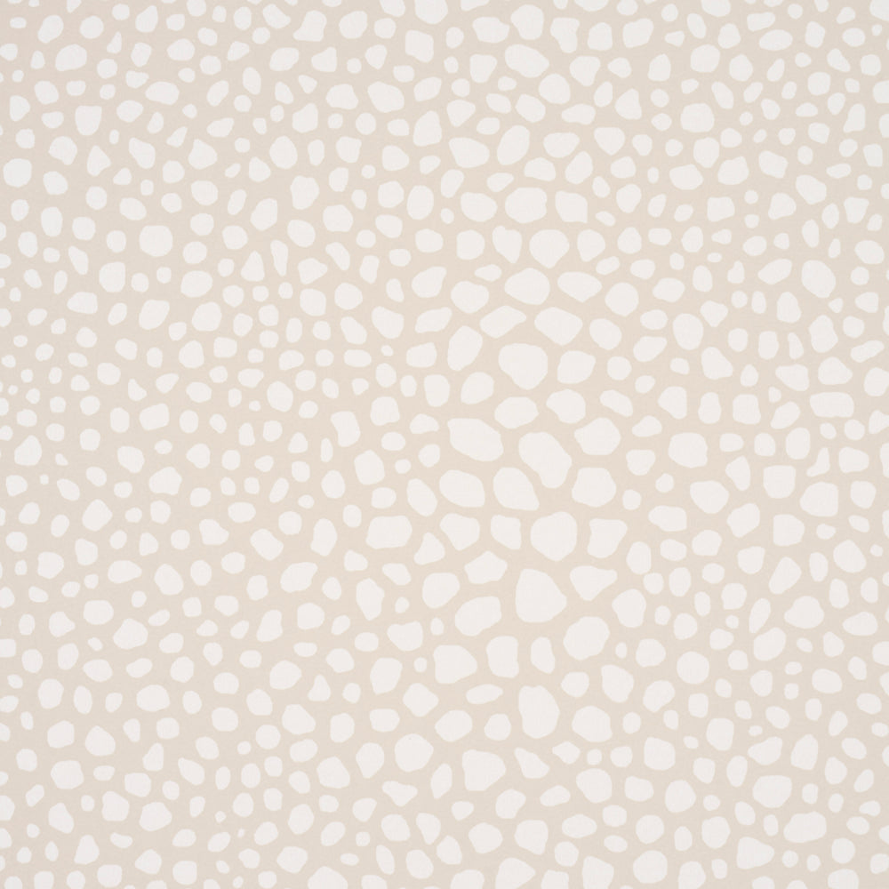 STRUTTURA VAGABILE | AVORIO