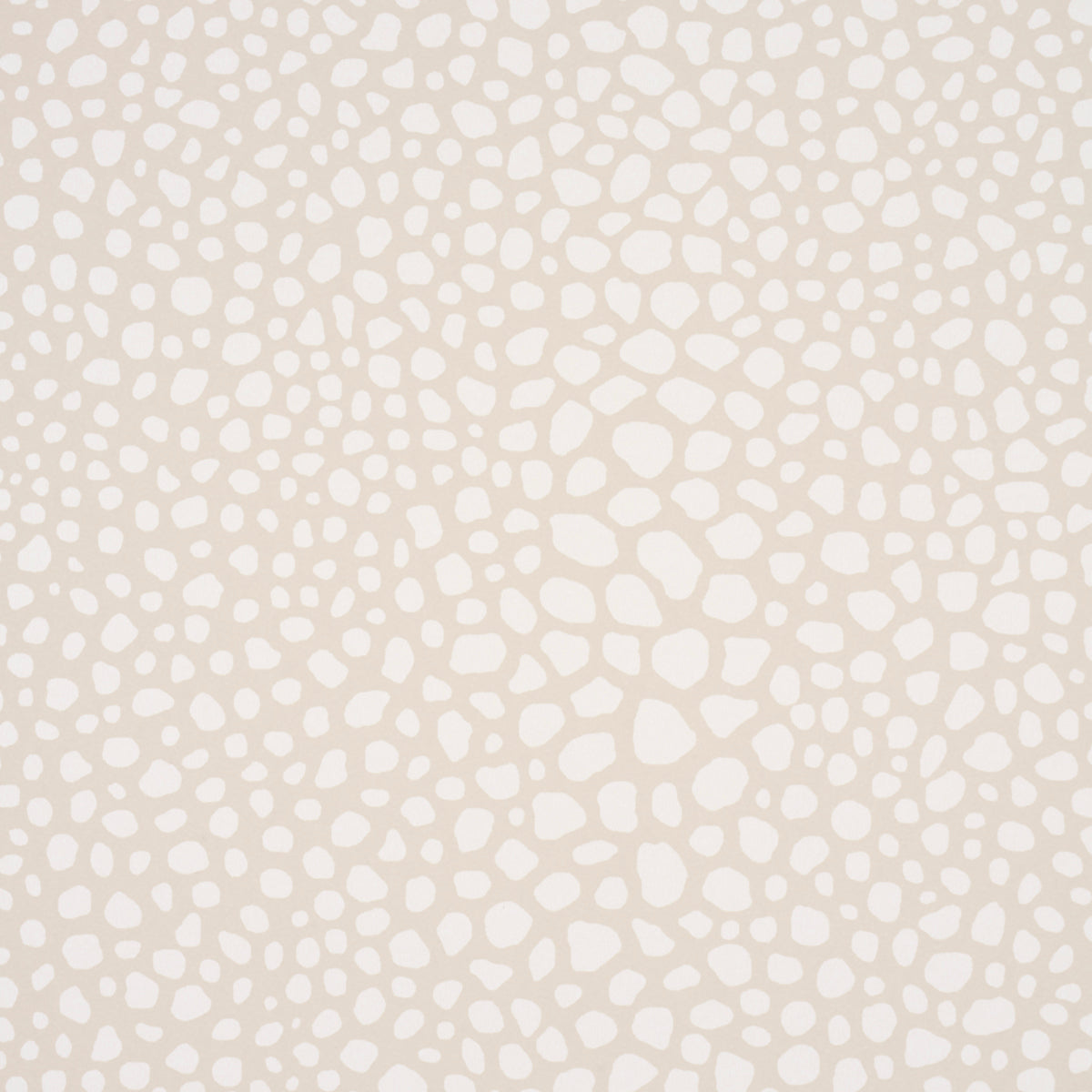 STRUTTURA VAGABILE | AVORIO