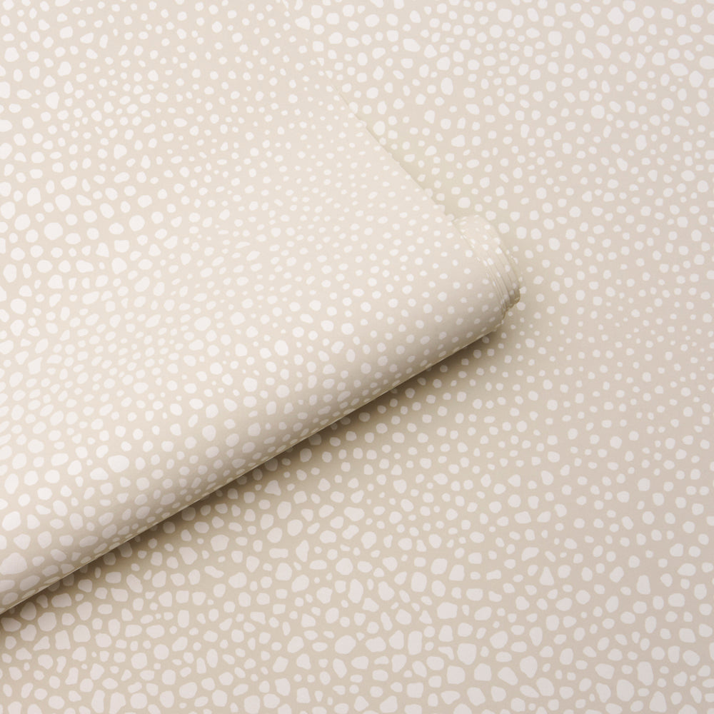 STRUTTURA VAGABILE | AVORIO