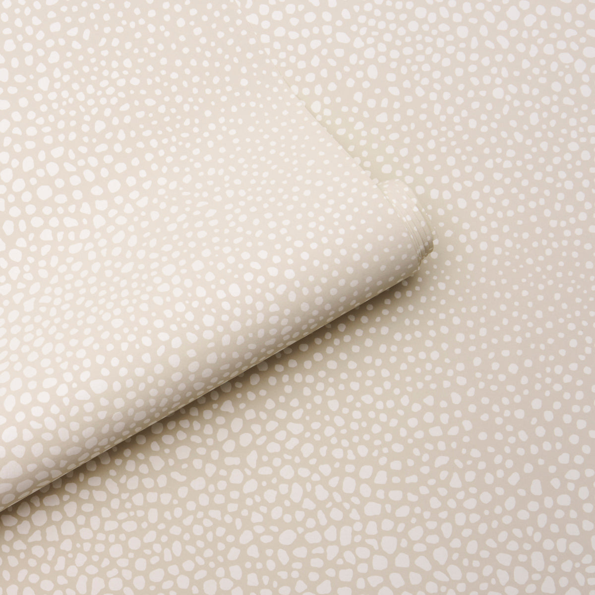 STRUTTURA VAGABILE | AVORIO