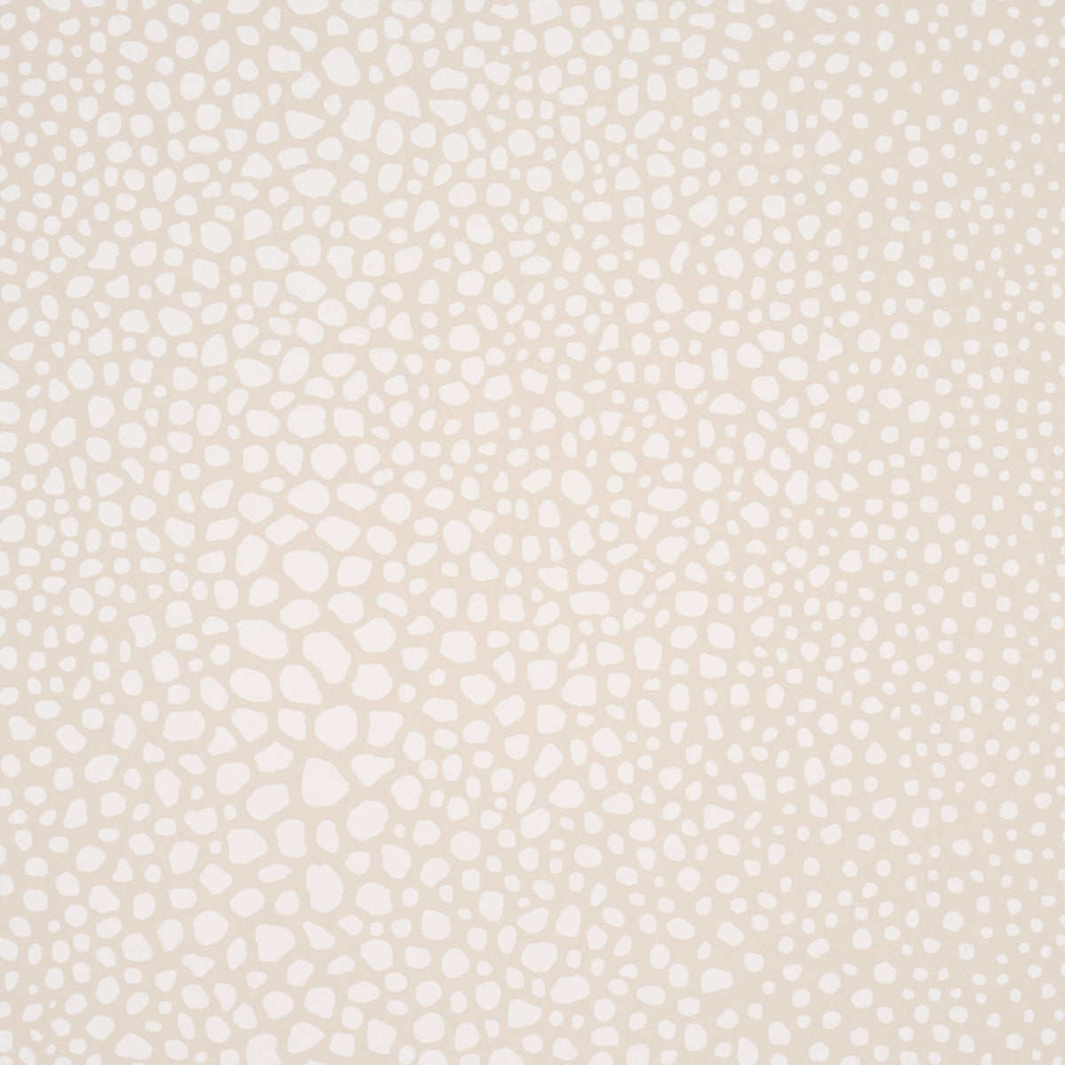 FICKLE TEXTURE | Ivory