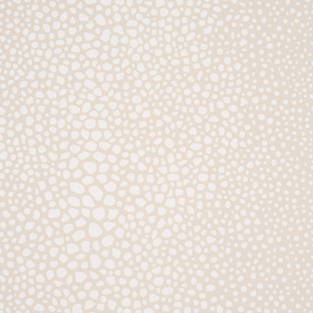 STRUTTURA VAGABILE | AVORIO