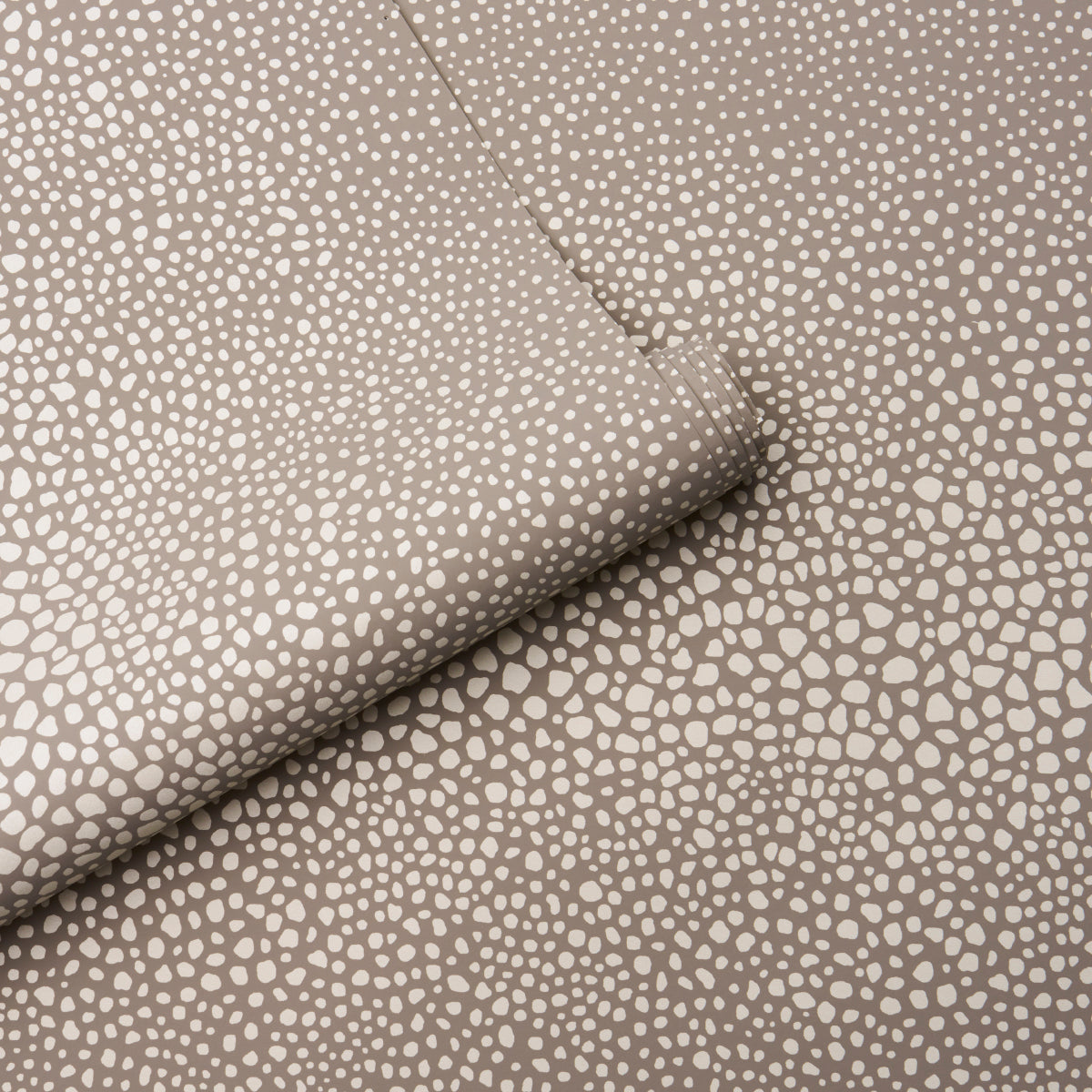 STRUTTURA VAGABILE | SABBIA