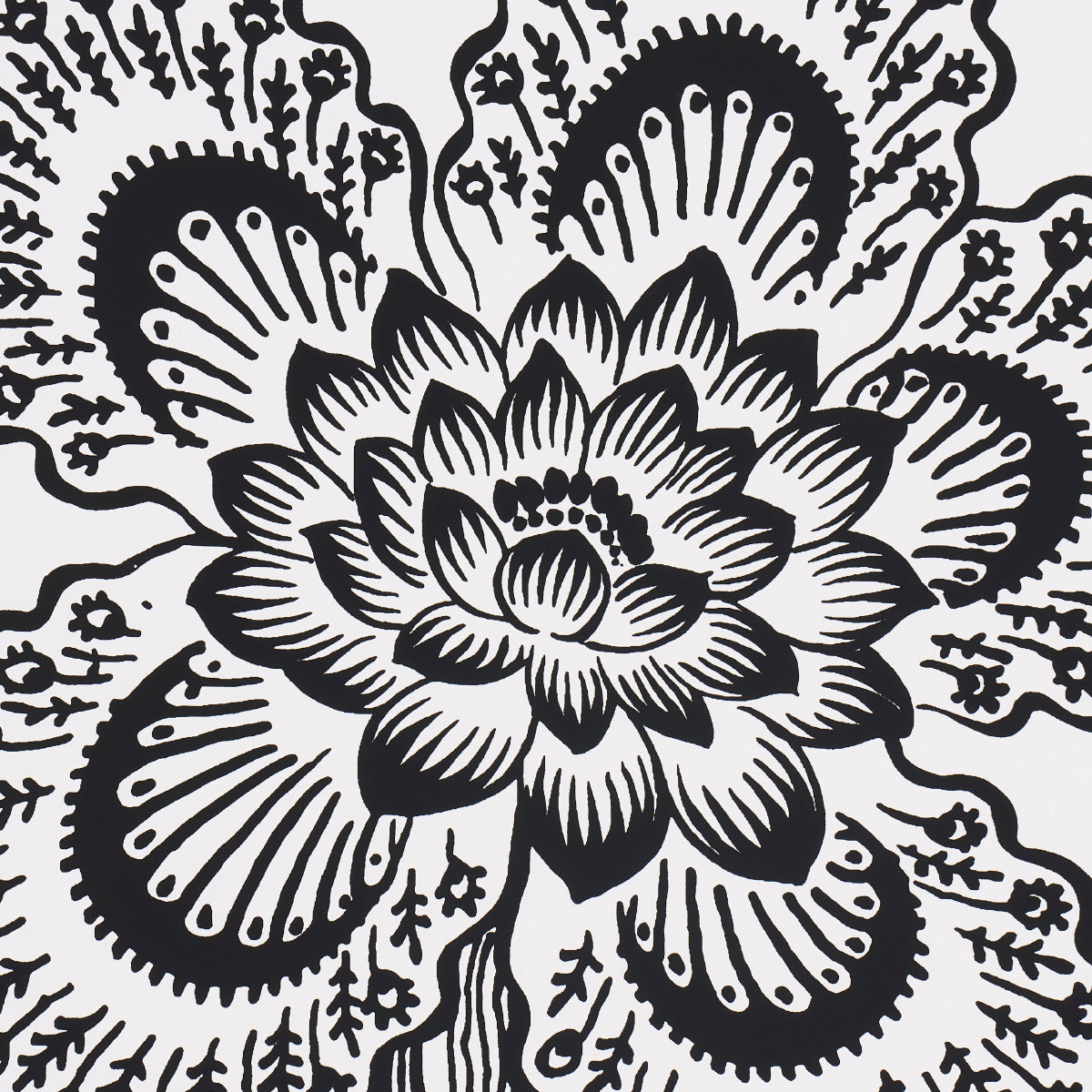 SILHOUETTE DI FIORI DI SERRA | BIANCO E NERO