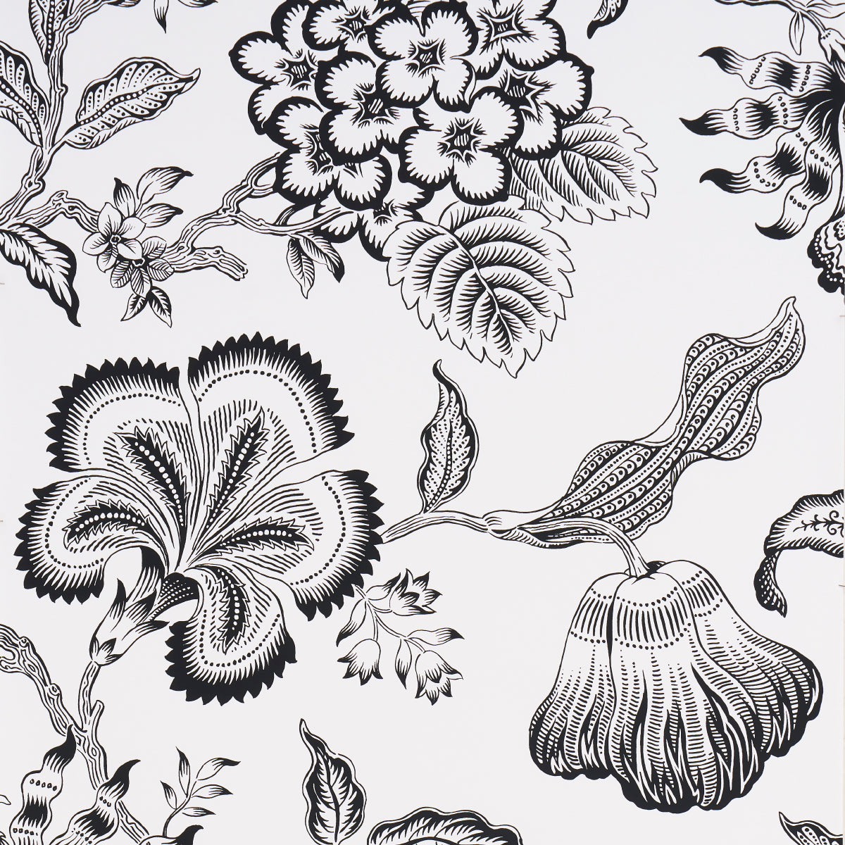 SILHOUETTE DI FIORI DI SERRA | BIANCO E NERO