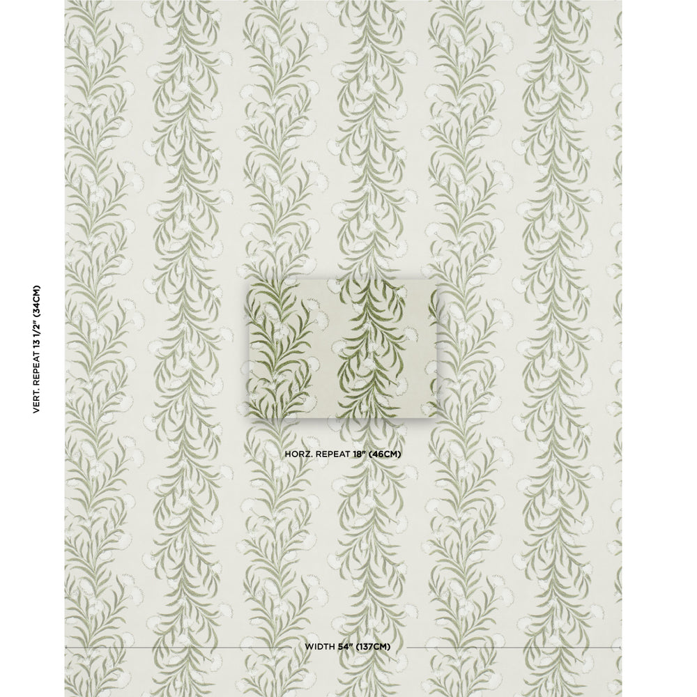 MIMOSA DELLA TASMANIA | AVORIO E VERDE