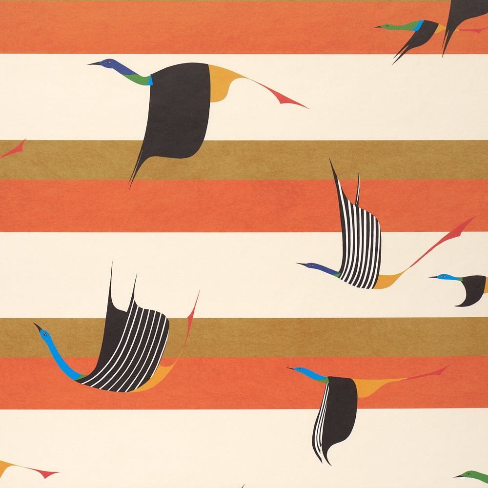 FLYING WEST | Orange