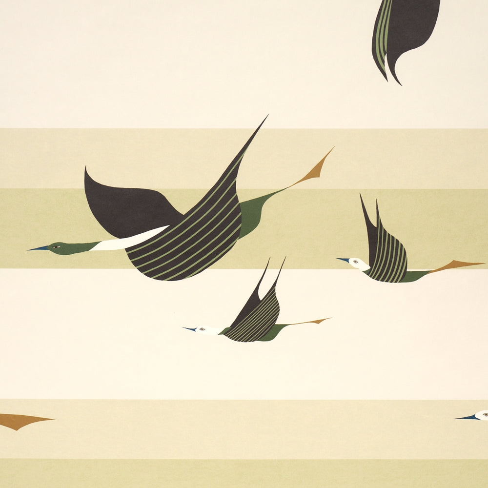 FLYING WEST | Green