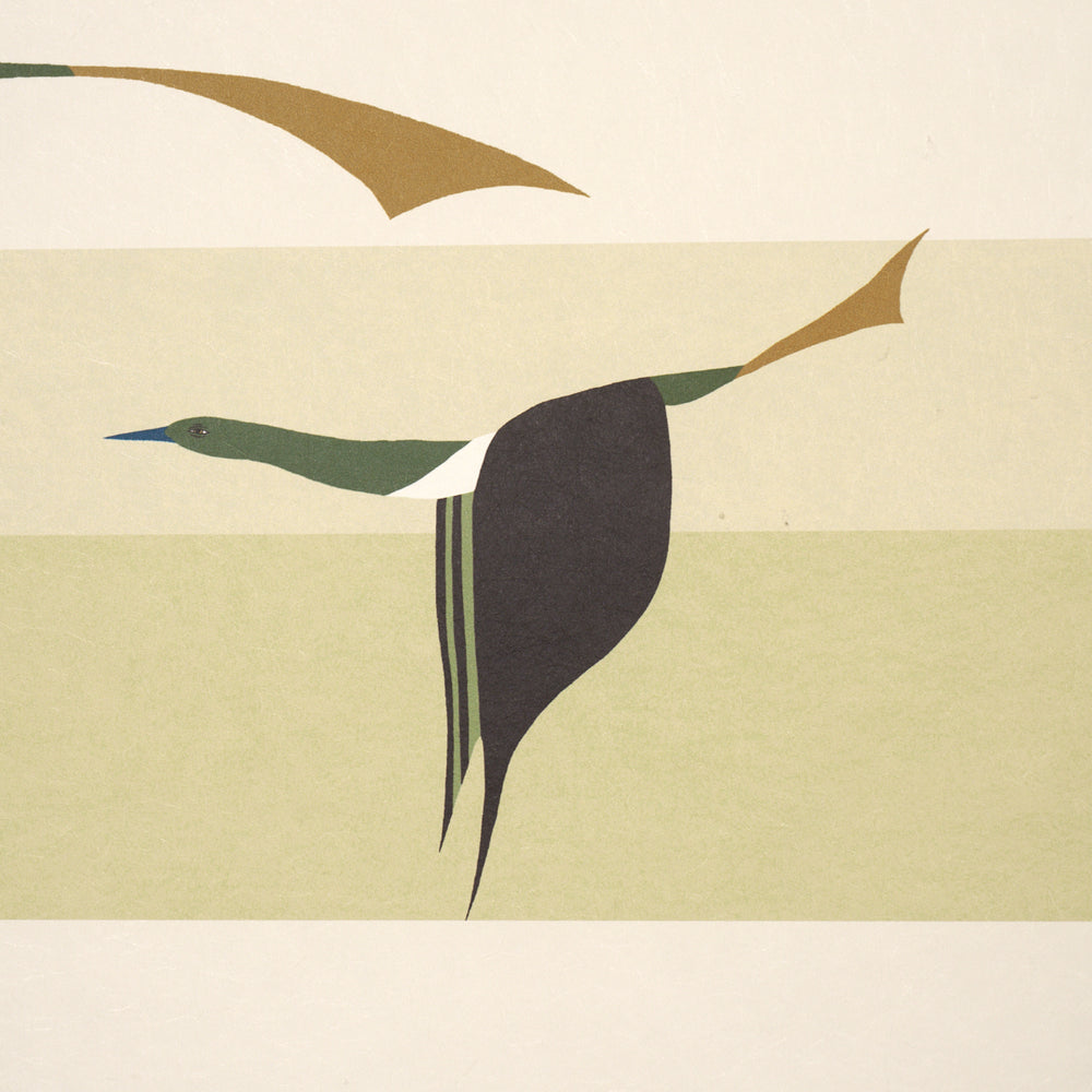 FLYING WEST | Green