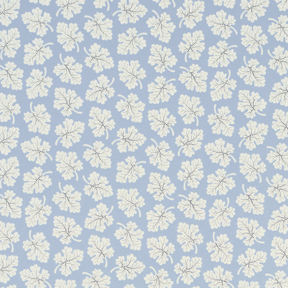 OLIVE | Sky