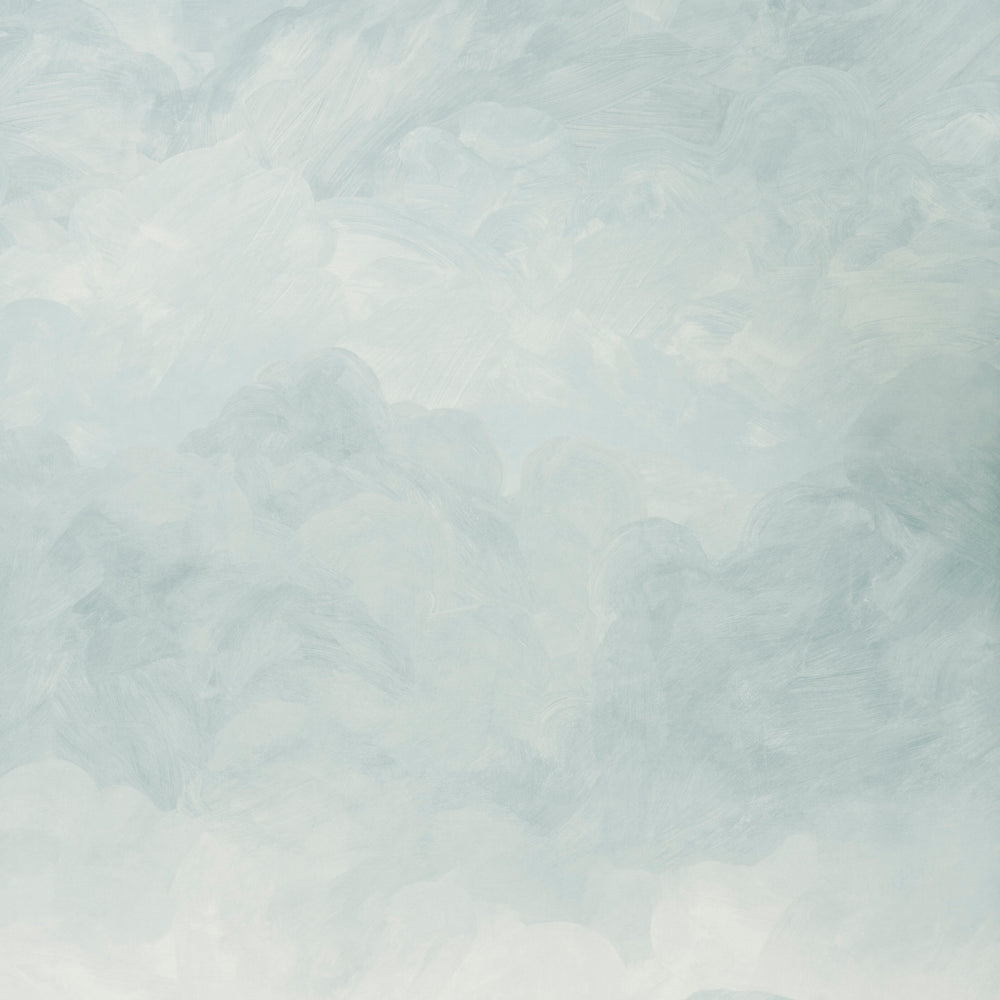 PAINTED SKY | Air