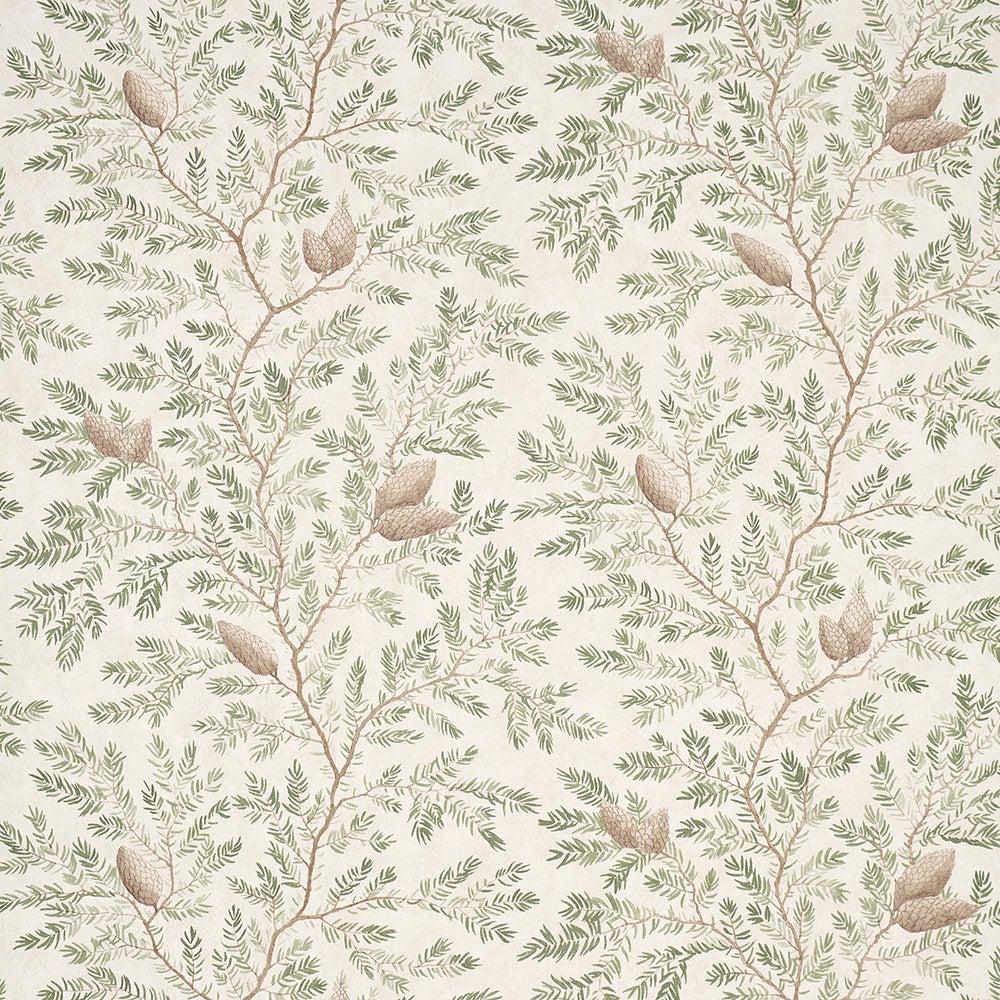 PINEWOOD | Spruce