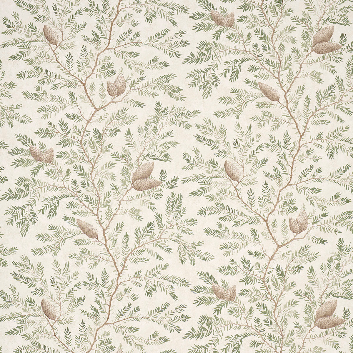 PINEWOOD | Spruce