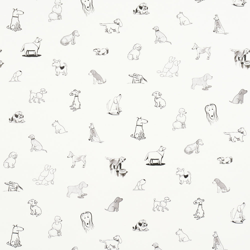GOOD DOGS EVERYWHERE | Black & White