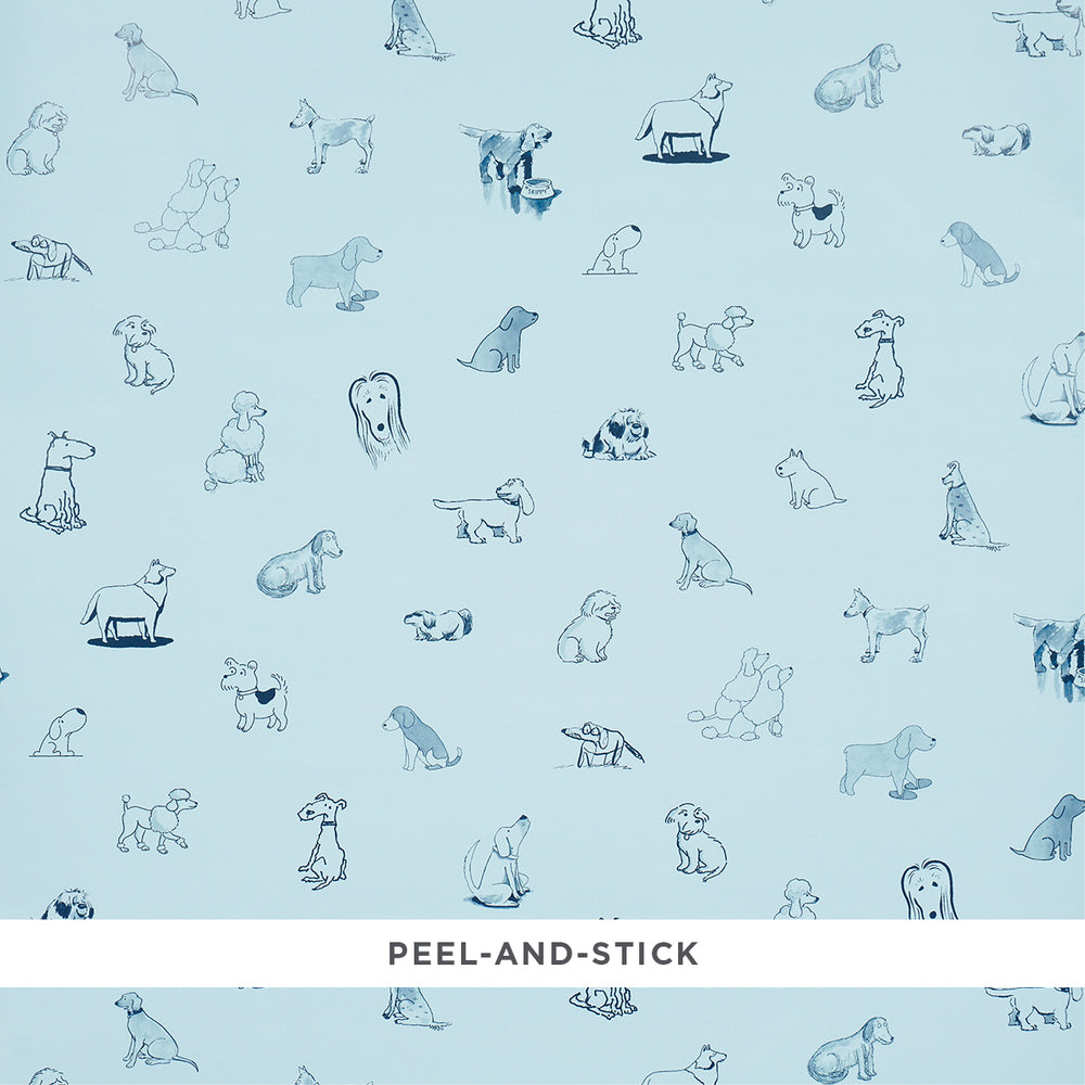 GOOD DOGS EVERYWHERE | Sky & Navy Blue