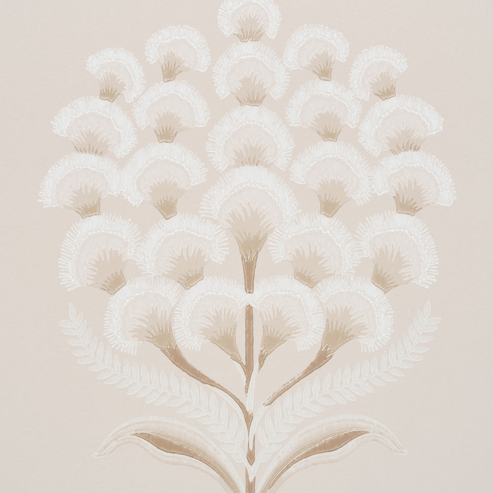 AURELIA | Limestone