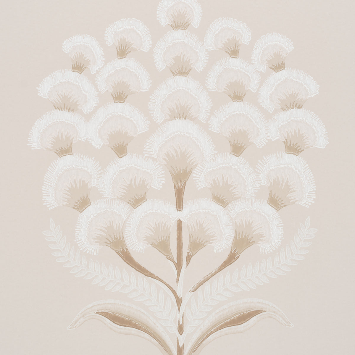 AURELIA | Limestone