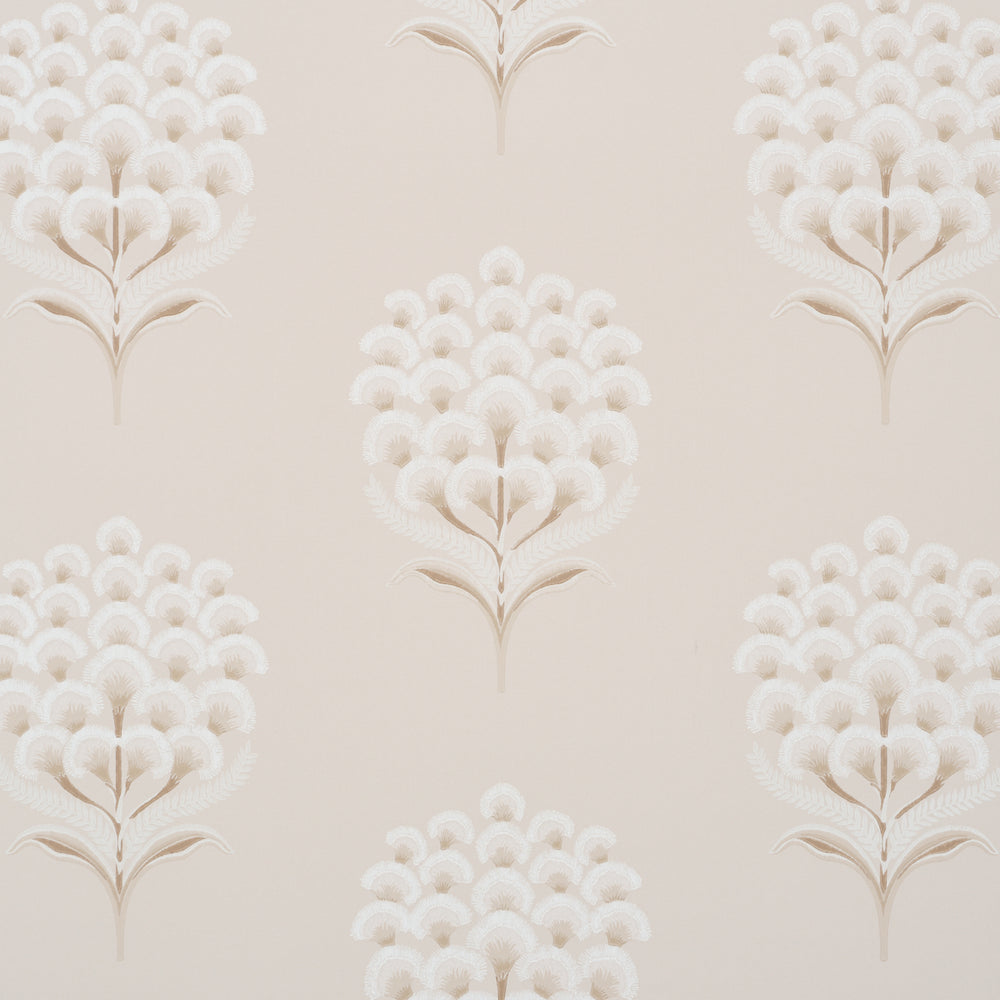 AURELIA | Limestone