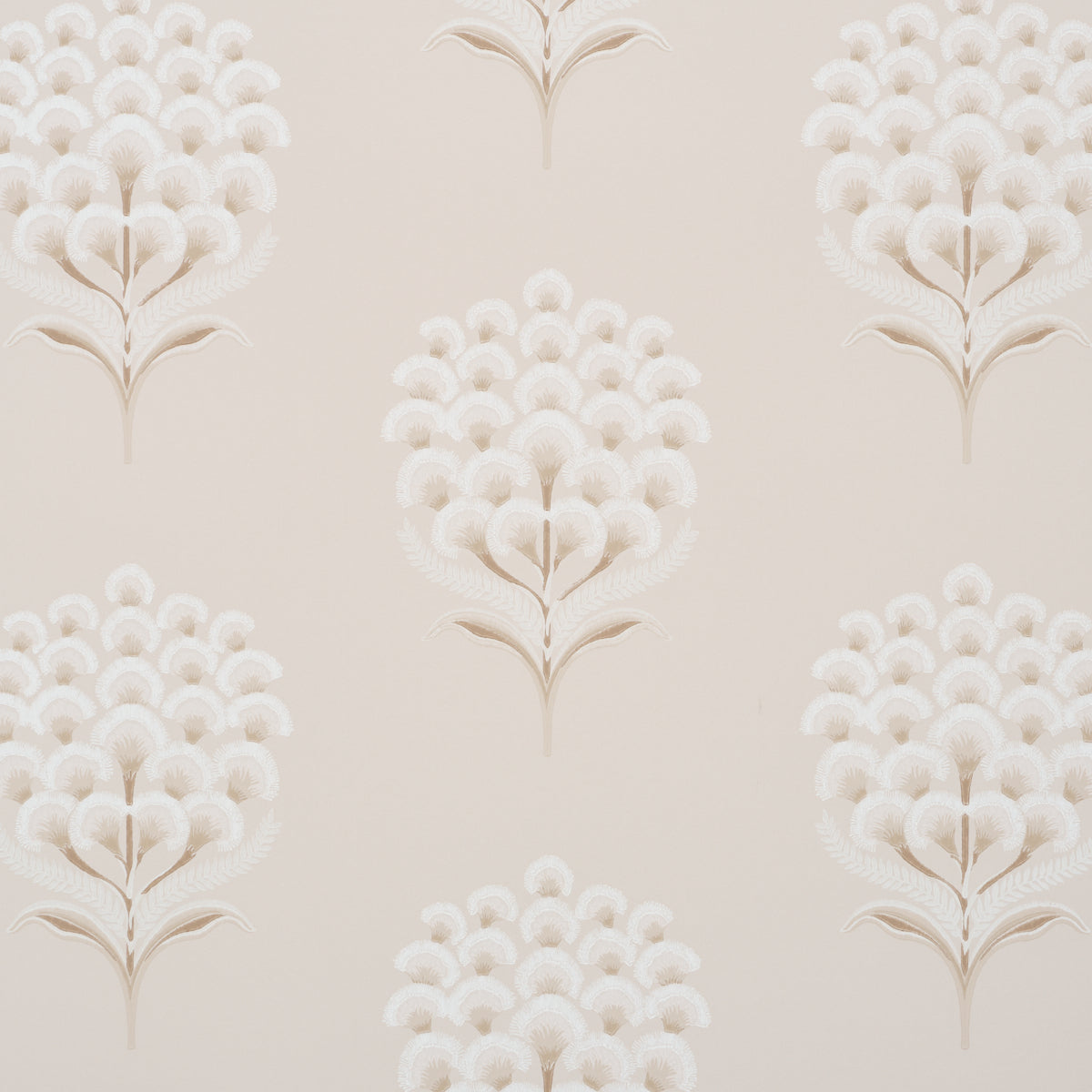 AURELIA | Limestone