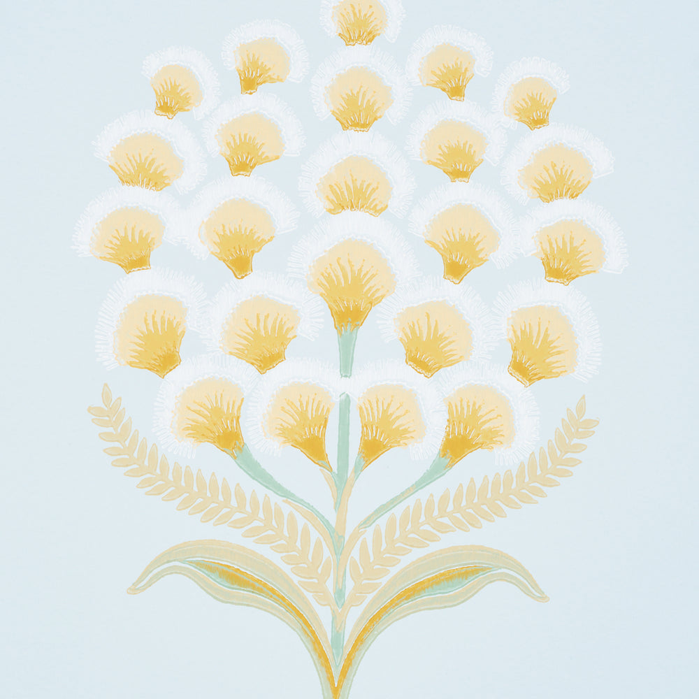 AURELIA | Sky